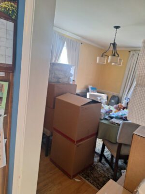 203k-renovation-Living-Room-1